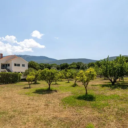 Arte Villa Nefeli Apartment Sami  Exterior photo